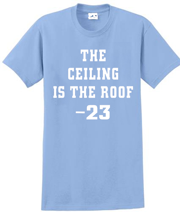 fell off the roof shirt