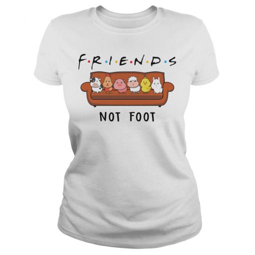 Friends TV Show - Animal Are Friends Not Food T shirt IGS